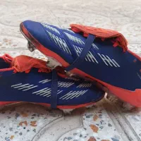 استوک پریدیتور|کیف، کفش، کمربند|ری, علایین|دیوار