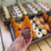 فینگر فودودسر خوشمزه،شیک و خاص برای خاص پسندا