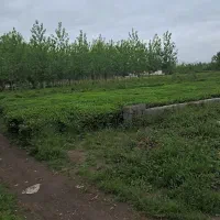 زمین-داخل-طرح-300متری-بابر12