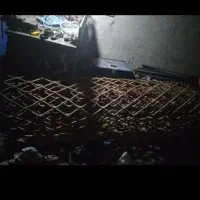 درب زنبوری سالم