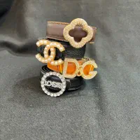 کمربندهای زنانه|کیف، کفش، کمربند|گرگان, |دیوار