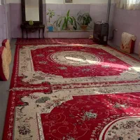 سویت همکف دربست روزانه وساعتی|اجارهٔ کوتاه‌مدت آپارتمان و سوئیت|یزد, |دیوار