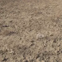 فروش زمین مناسب خانه باغ و کارگاه