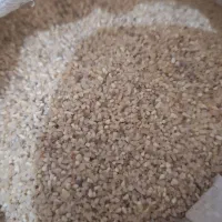 برنج نیم دانه ضایعات|خوردنی و آشامیدنی|زهک, |دیوار