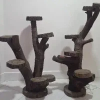 استند گل