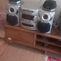 ضبط