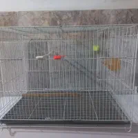 قفس پرنده