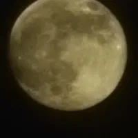 فروش سامسونگ s22 الترا پرچم دار|موبایل|چالوس, |دیوار