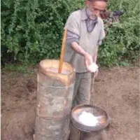 کره گاوی محلی