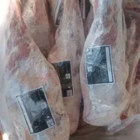 گوشت گوسفندی مغولی با کیفیت مناسب کباب و مهمانی