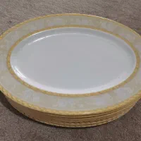 دیس غذاخوری