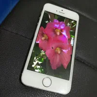 اپل iPhone 5s با حافظهٔ ۶۴ گیگابایت