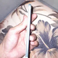 iphone se 2020|موبایل|پرند, فاز ۵|دیوار
