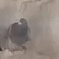 کبوتر گم شده