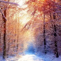 فروش-ویژه-چهار-دیواری-فقط-340-میلیون