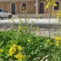 اقامتگاه بوم گردی نزدیک منگره|اجارهٔ کوتاهمدت ویلا و باغ|اندیمشک, |دیوار