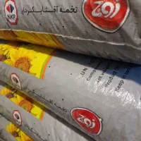 تخمه آفتابگردان زوج