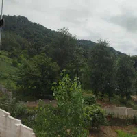خانه ویلای منطقه سیاهمزگی روستای لپوندان|فروش خانه و ویلا|احمدسرگوراب, |دیوار