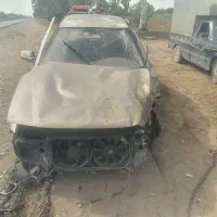سمند تصادفی