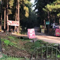 نیروی ساده خانم جهت کار در عکاسی|استخدام هنری و رسانه|سنگر, |دیوار