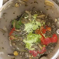 حلزون رایگان