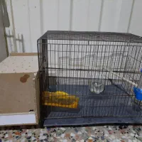 قفس فروشی با لونه عروس هلندی