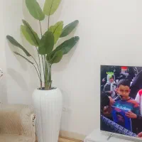 درحدنو