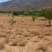 فروش ۱۰قصب زمین باغ|فروش زمین و ملک کلنگی|درب بهشت, |دیوار