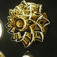 لوستر درخشان