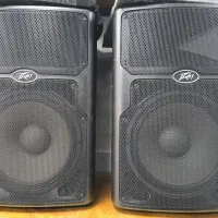 فروش ۱ جفت باند پسیو Peavey