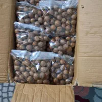 ماکادمیای تازه رسید