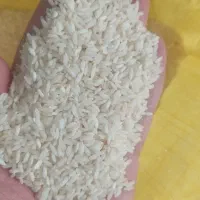 پخش عمده برنج عنبربو به‌شرط عطر