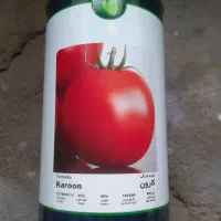 بذر گوجه فرنگی