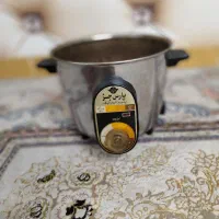 پلوپز ۶ نفره برقی