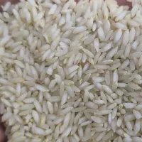 برنج عنبربو