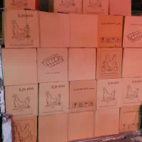 پخش و توزیع تخم مرغ|خوردنی و آشامیدنی|مشهد, گلبرگ شمالی|دیوار