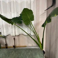 فروش ملک مسکونی