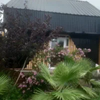 کلبه سویسی لب آب ساعتی روزانه هفتگی