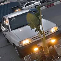 پراید مدل ۸۲ عروسک