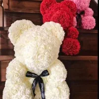 عروسک های تدی