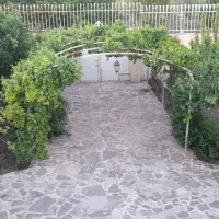 به یک نفر آقا جوان  باغ بان ... همراه با جای خواب