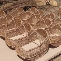 سبد نوزاد