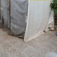 اتاق وانت پیکان