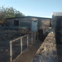 اجاره سوله برای تولید قارچ یا انباری گاوداری