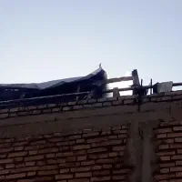کبوتر