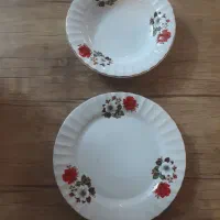 ۶۰ عدد بشقاب برنج خوری و خورشت خوری