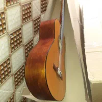 گیتار کلاسیک معاوضه با طوطی سان یا لوازم خانگی نو|گیتار، بیس، امپلیفایر|شیراز, لب آب|دیوار