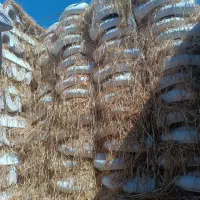 سنگ توالت و روشویی و فرنگی|لوازم سرویس بهداشتی|بیرجند, |دیوار