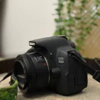 دوربین کنون 700d|دوربین عکاسی و فیلم‌برداری|مرودشت, استادیوم‎|دیوار