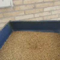 آسیاب سنگی|خردکن، آسیاب، غذاساز|یزد, |دیوار